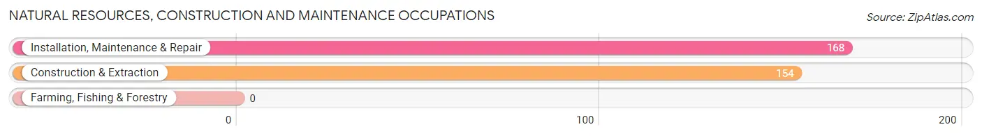 Natural Resources, Construction and Maintenance Occupations in Joshua