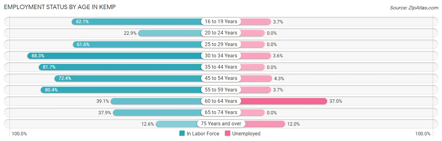 Employment Status by Age in Kemp