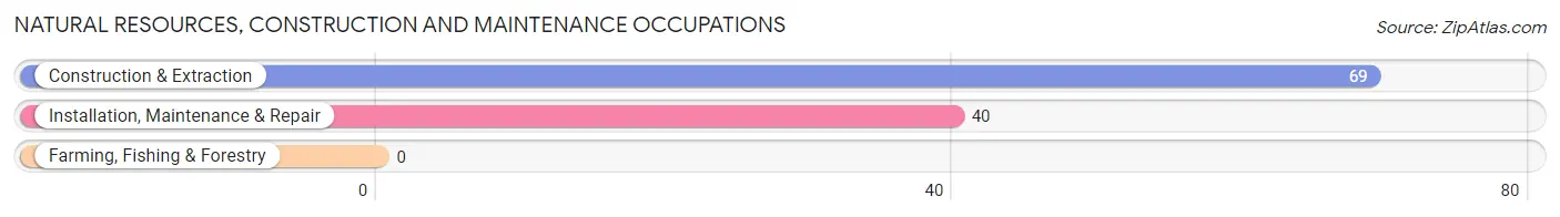 Natural Resources, Construction and Maintenance Occupations in Kempner