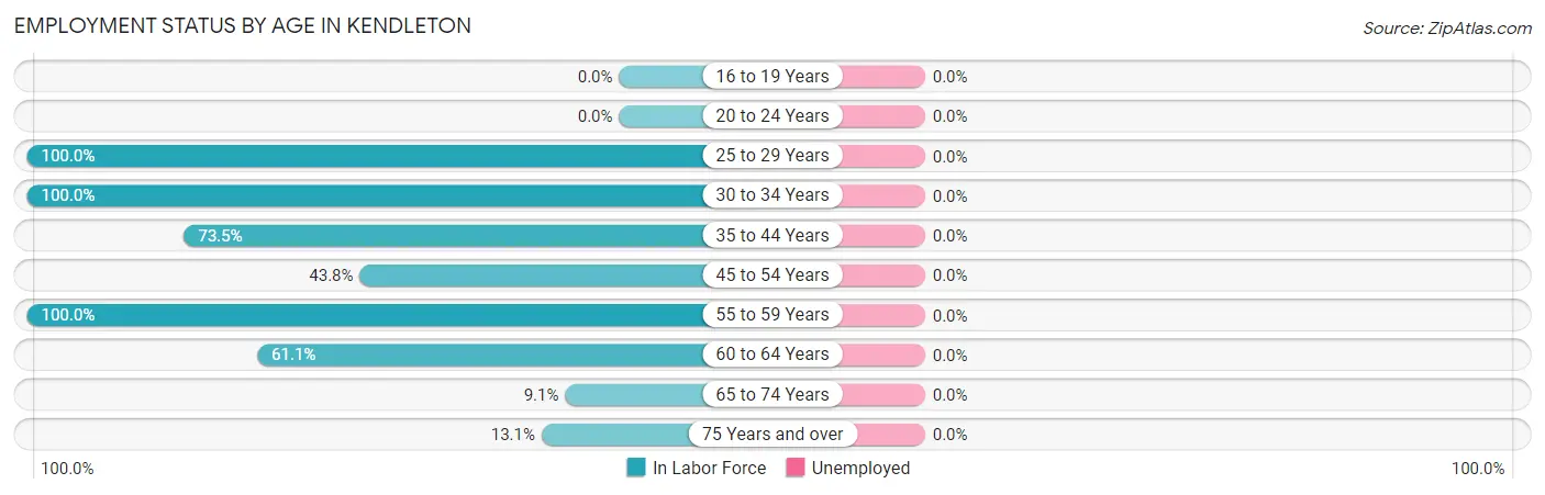 Employment Status by Age in Kendleton