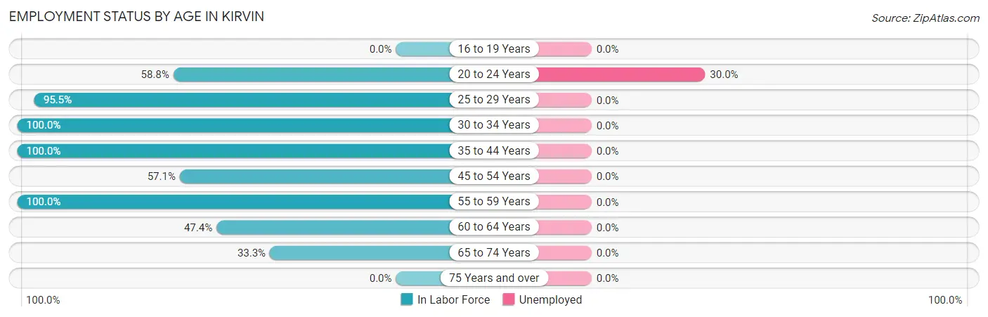 Employment Status by Age in Kirvin