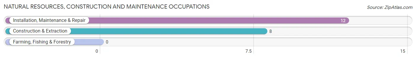 Natural Resources, Construction and Maintenance Occupations in Kirvin