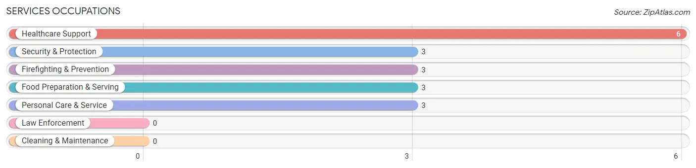 Services Occupations in Kirvin