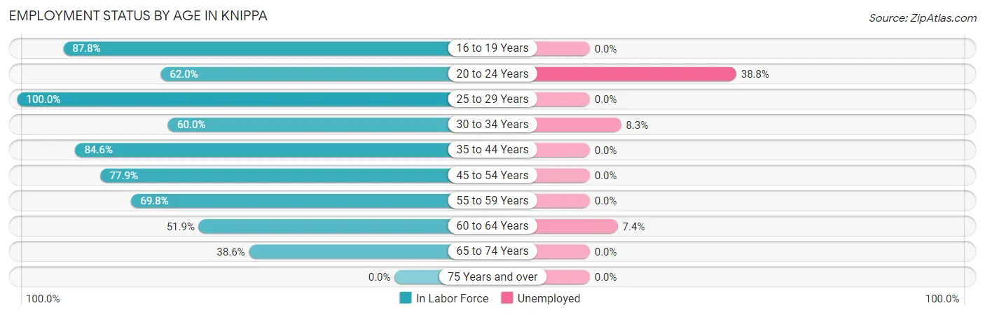 Employment Status by Age in Knippa