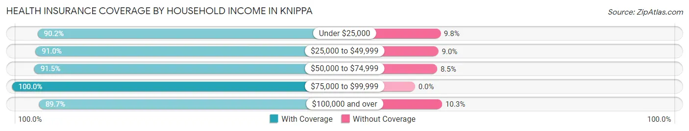 Health Insurance Coverage by Household Income in Knippa