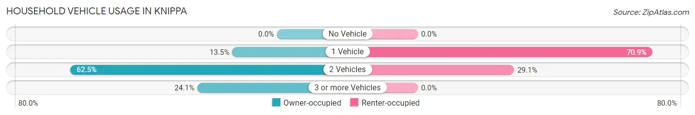 Household Vehicle Usage in Knippa