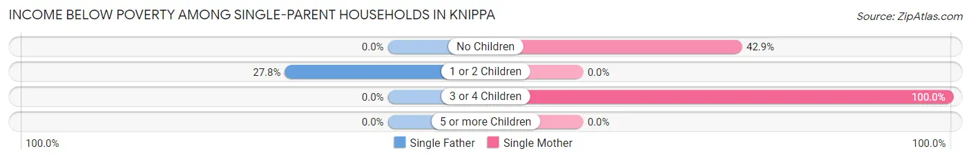 Income Below Poverty Among Single-Parent Households in Knippa
