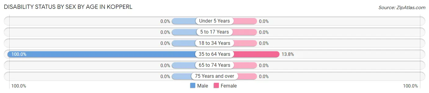 Disability Status by Sex by Age in Kopperl