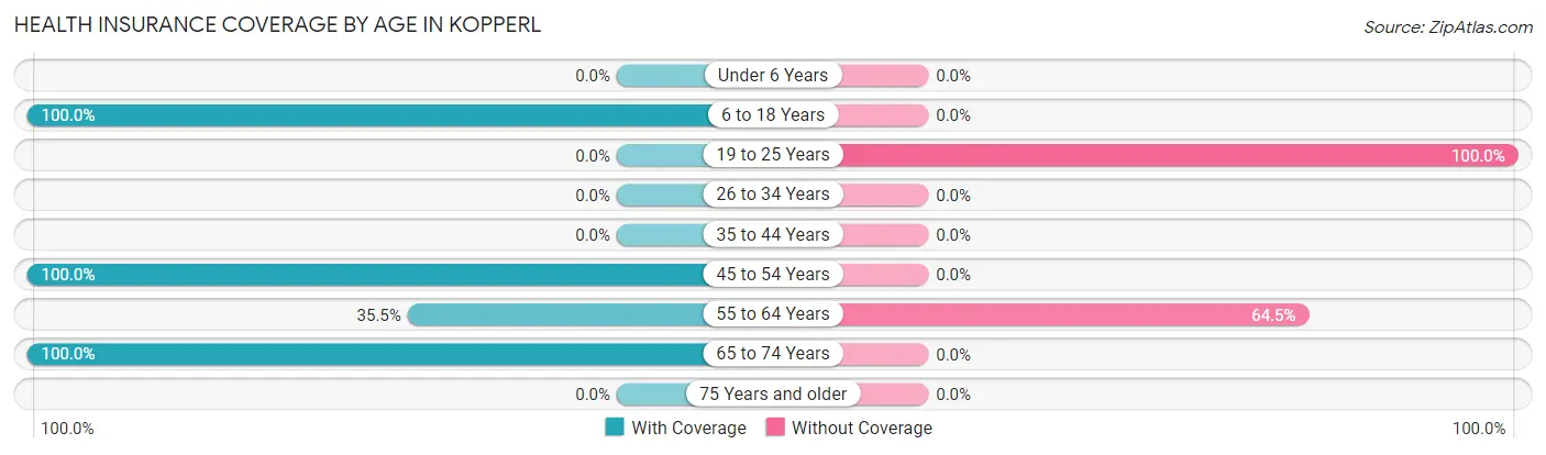 Health Insurance Coverage by Age in Kopperl