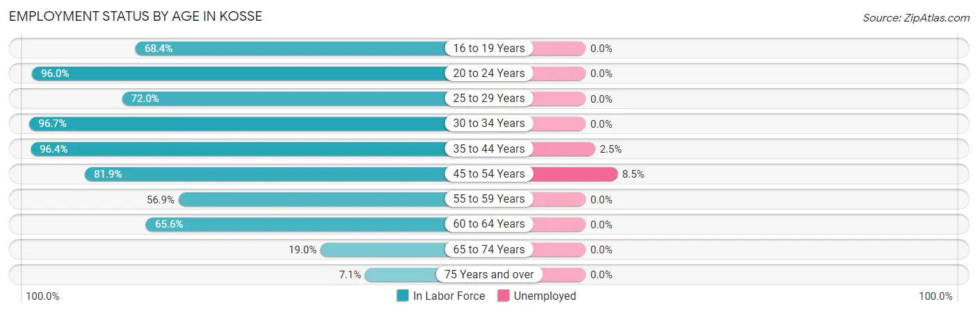 Employment Status by Age in Kosse