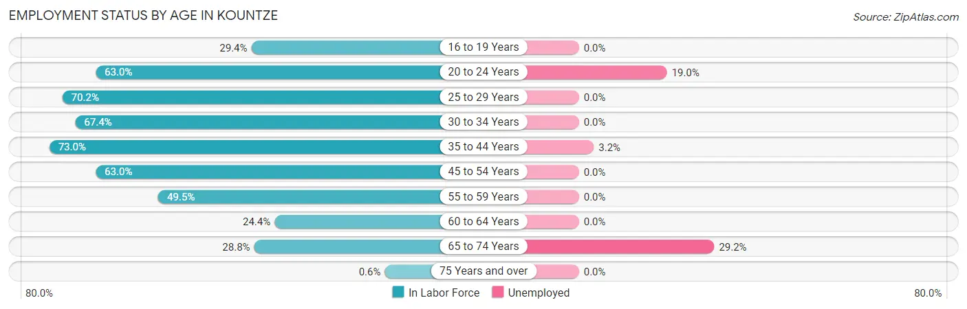 Employment Status by Age in Kountze