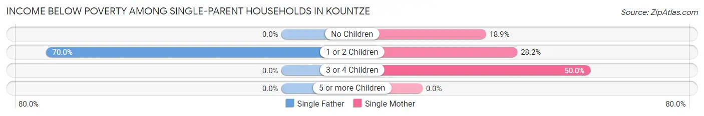 Income Below Poverty Among Single-Parent Households in Kountze