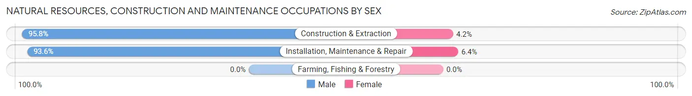 Natural Resources, Construction and Maintenance Occupations by Sex in Kyle
