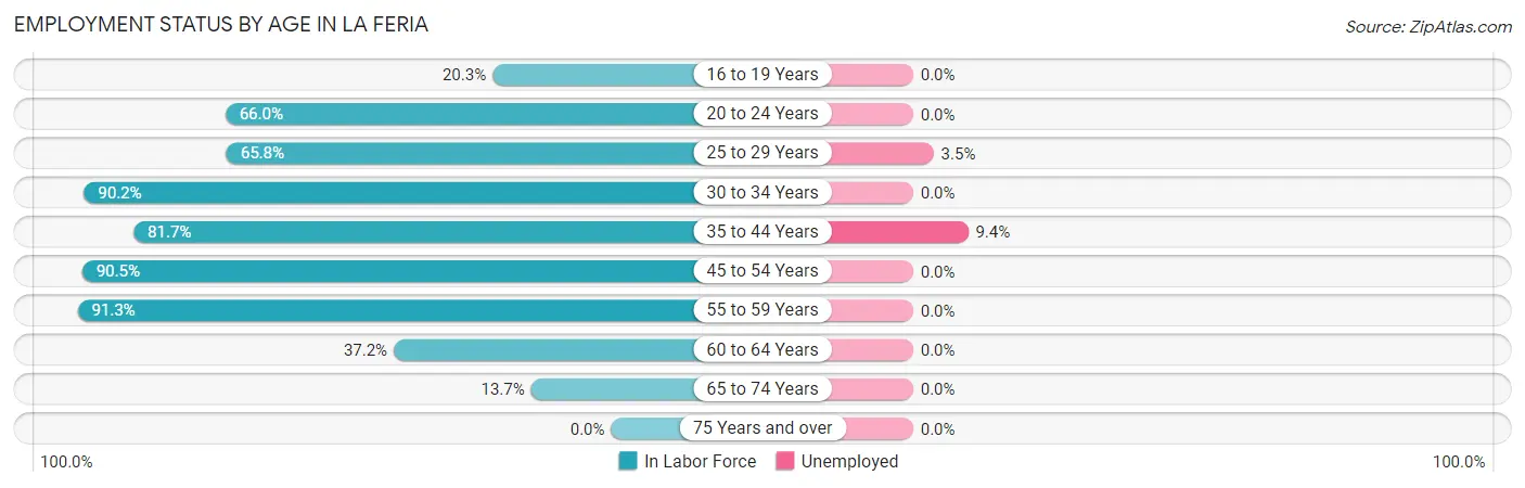 Employment Status by Age in La Feria