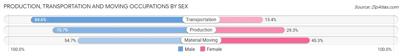Production, Transportation and Moving Occupations by Sex in Lamesa