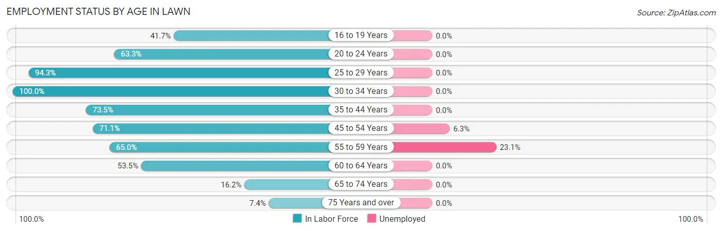 Employment Status by Age in Lawn