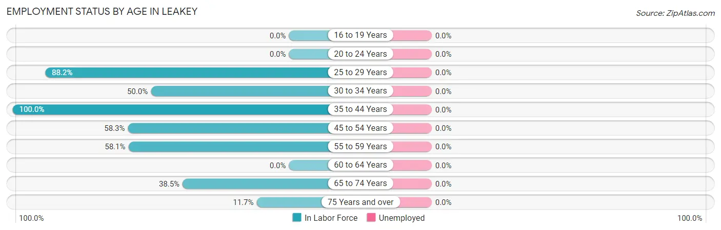 Employment Status by Age in Leakey