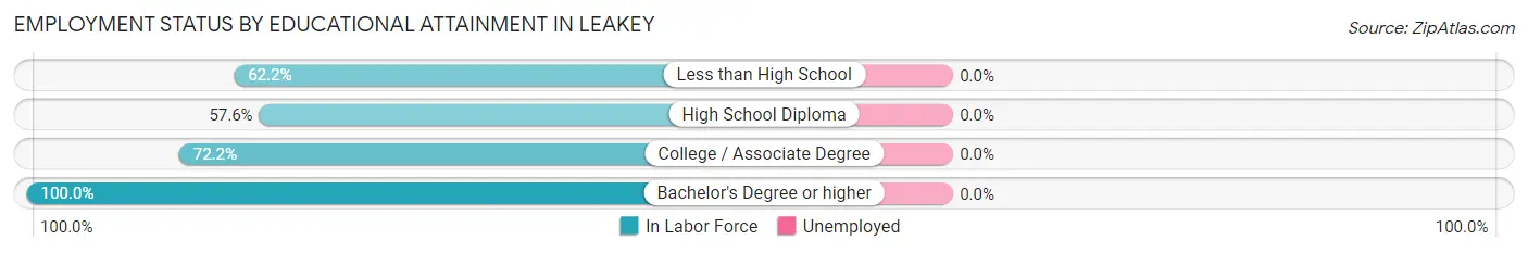 Employment Status by Educational Attainment in Leakey