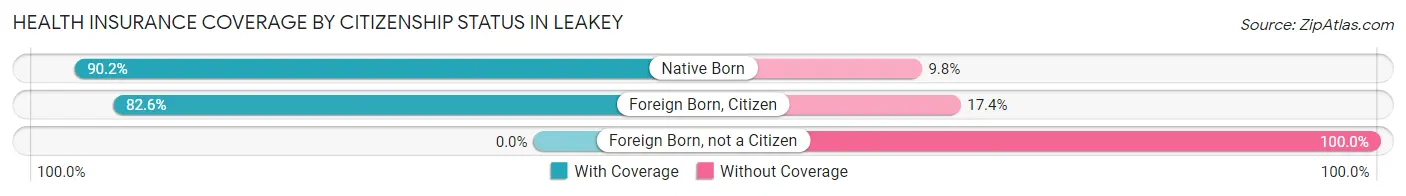 Health Insurance Coverage by Citizenship Status in Leakey