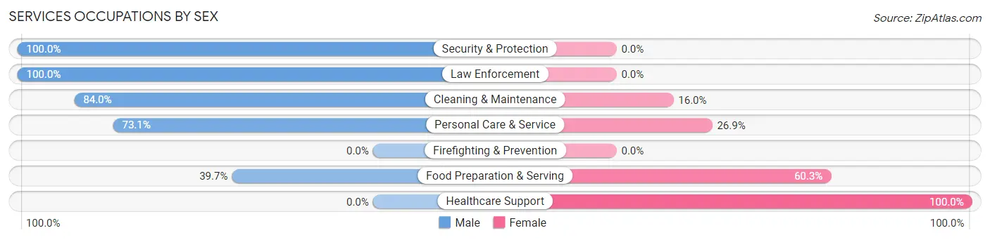 Services Occupations by Sex in Leonard