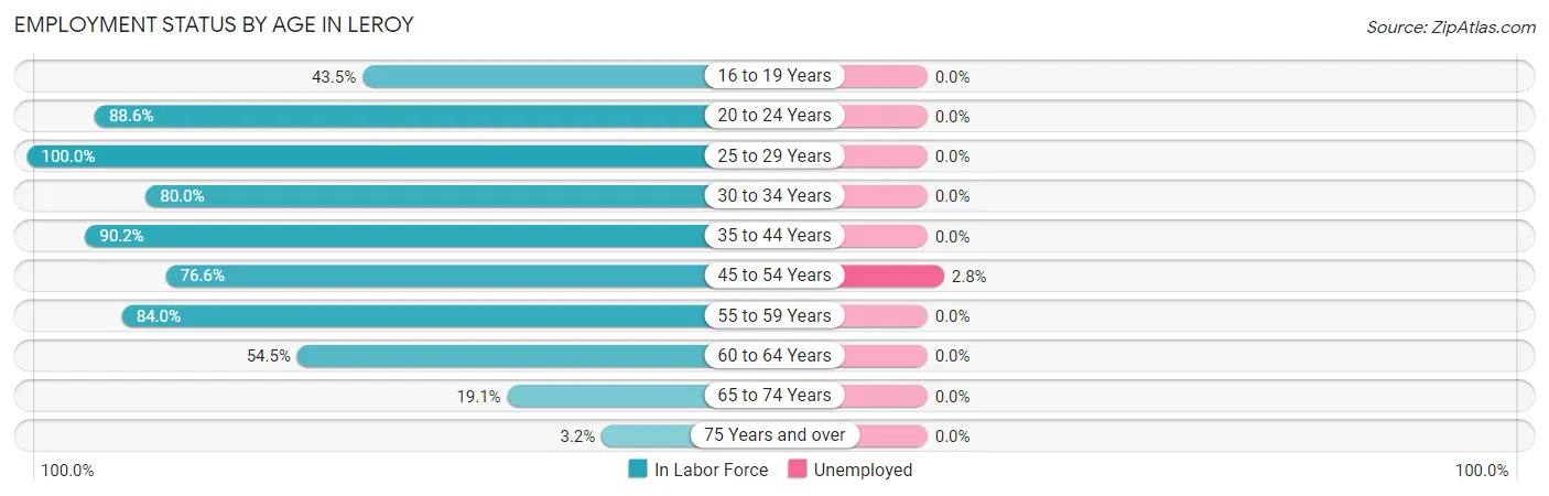 Employment Status by Age in Leroy