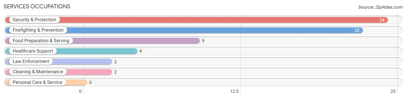 Services Occupations in Leroy