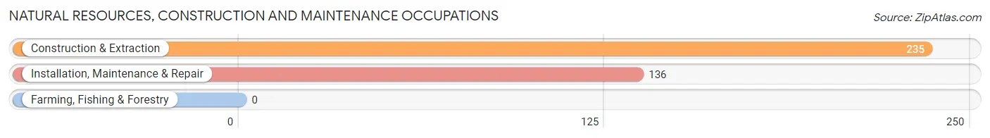 Natural Resources, Construction and Maintenance Occupations in Liberty Hill