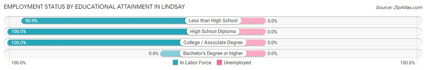 Employment Status by Educational Attainment in Lindsay