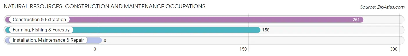 Natural Resources, Construction and Maintenance Occupations in Lindsay