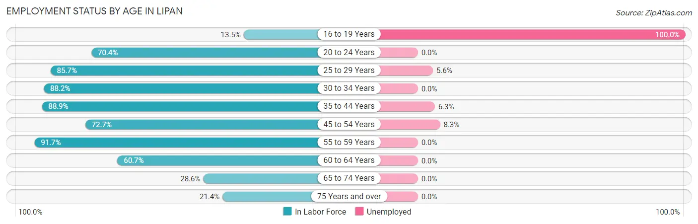 Employment Status by Age in Lipan
