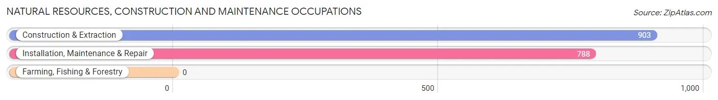 Natural Resources, Construction and Maintenance Occupations in Little Elm