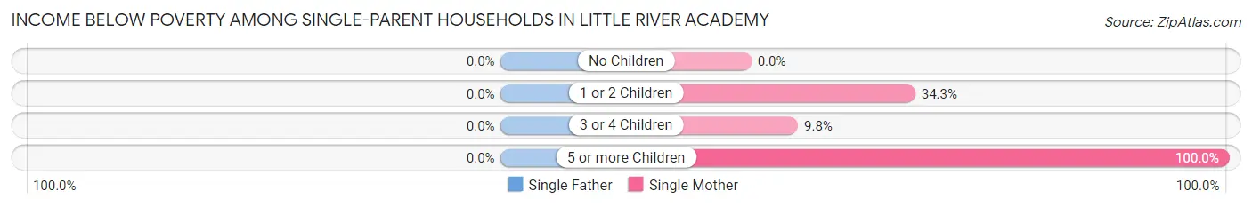 Income Below Poverty Among Single-Parent Households in Little River Academy