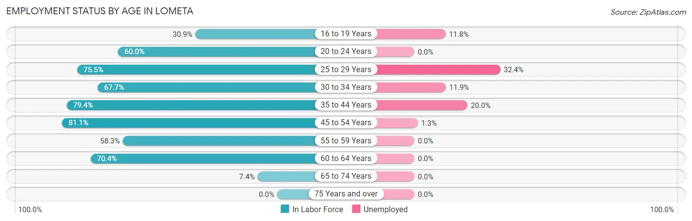 Employment Status by Age in Lometa