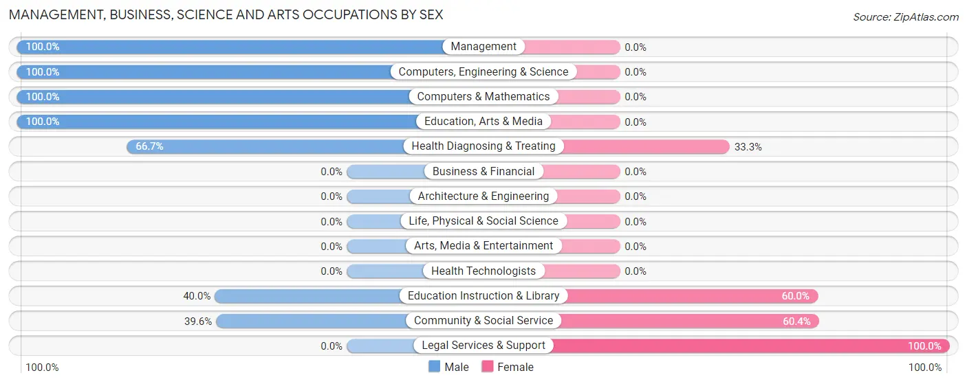 Management, Business, Science and Arts Occupations by Sex in Lometa
