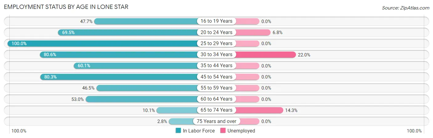 Employment Status by Age in Lone Star