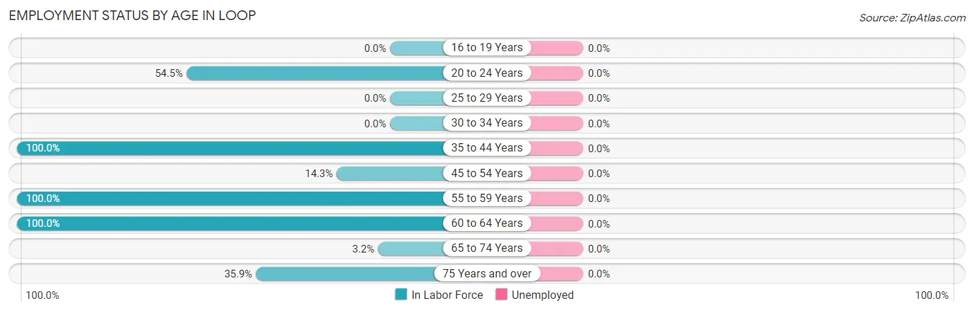 Employment Status by Age in Loop