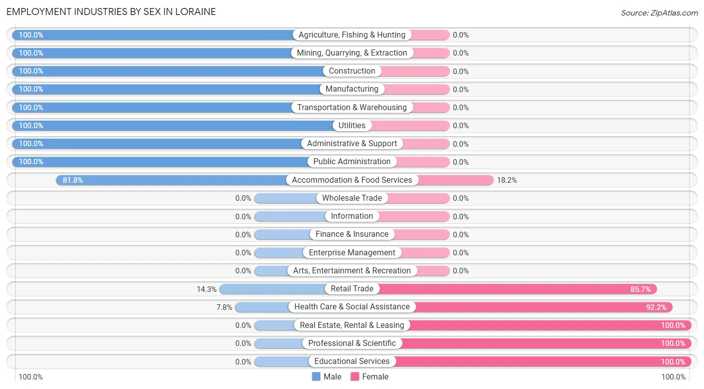 Employment Industries by Sex in Loraine