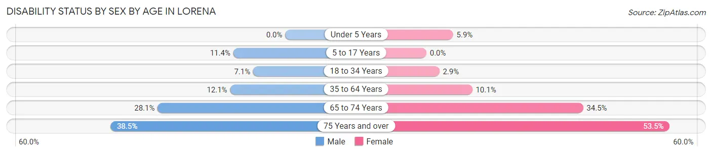 Disability Status by Sex by Age in Lorena