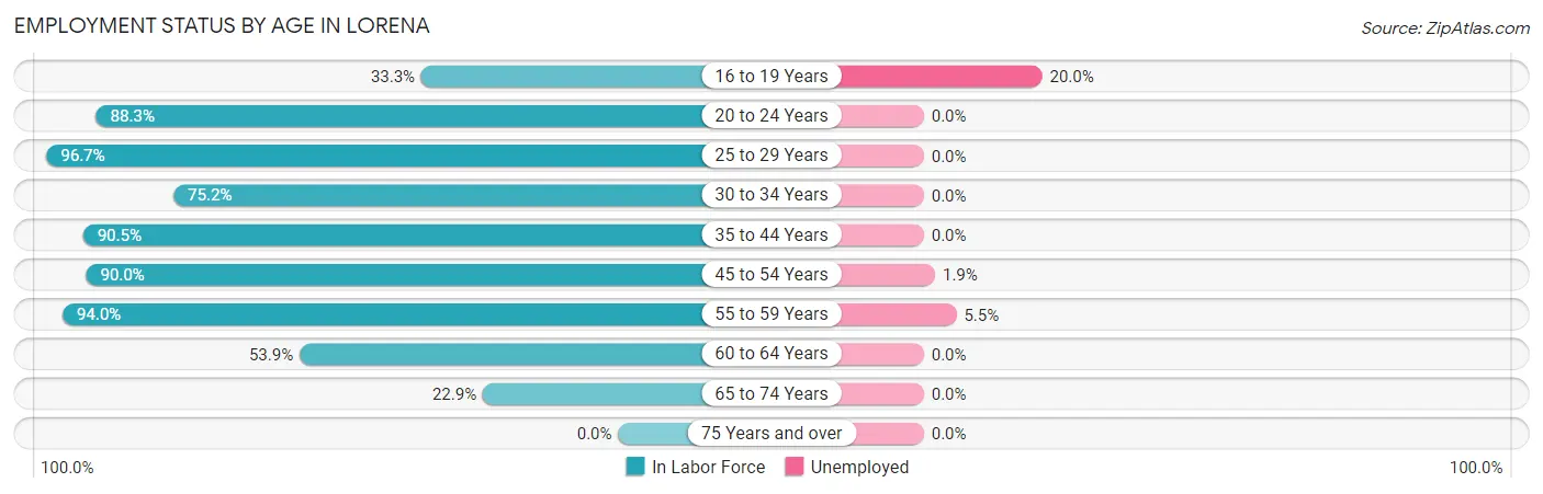 Employment Status by Age in Lorena