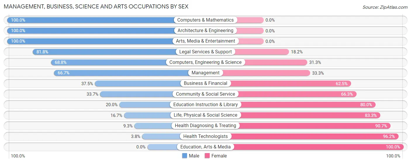 Management, Business, Science and Arts Occupations by Sex in Lorena