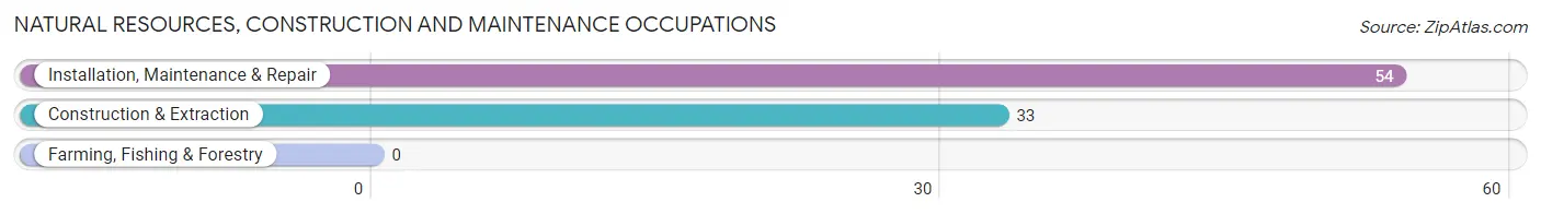 Natural Resources, Construction and Maintenance Occupations in Lorena