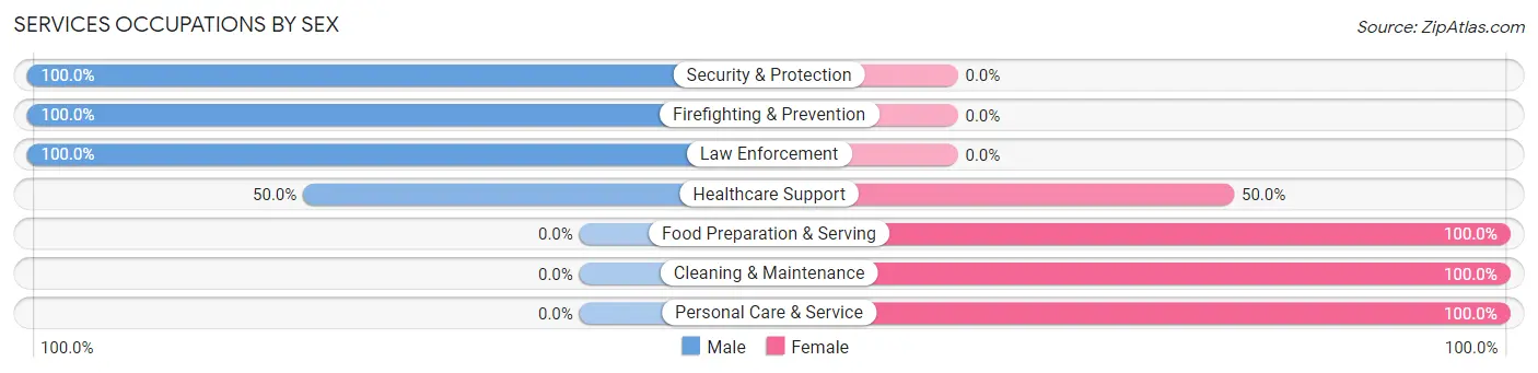Services Occupations by Sex in Lorena