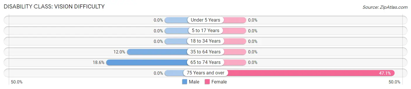 Disability in Lott: <span>Vision Difficulty</span>