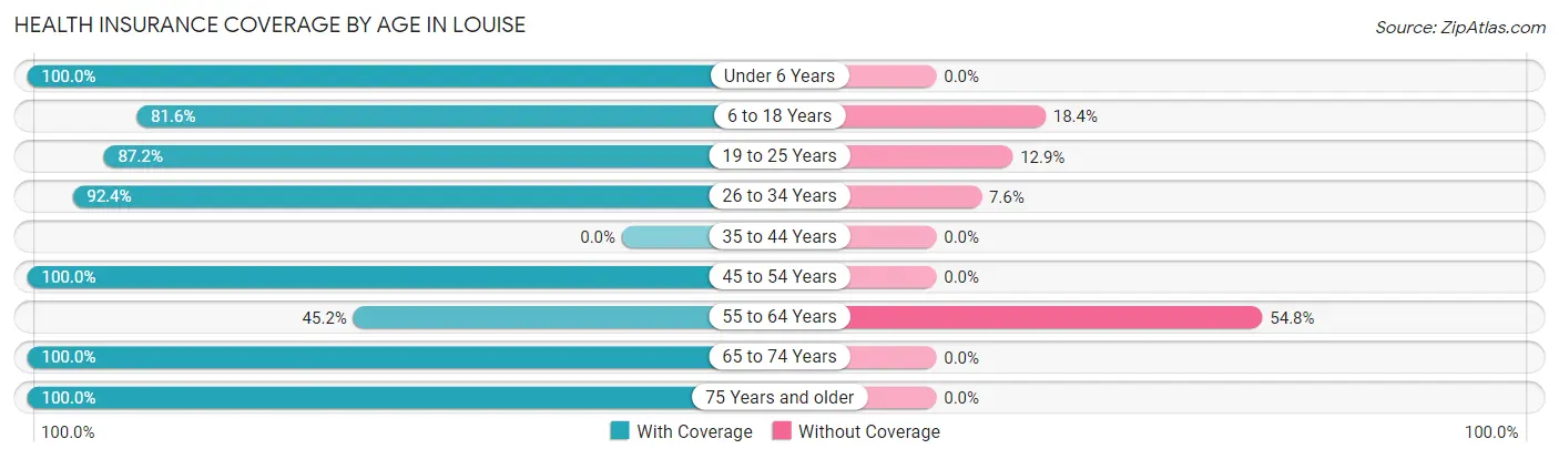 Health Insurance Coverage by Age in Louise