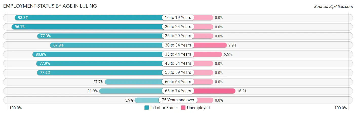 Employment Status by Age in Luling