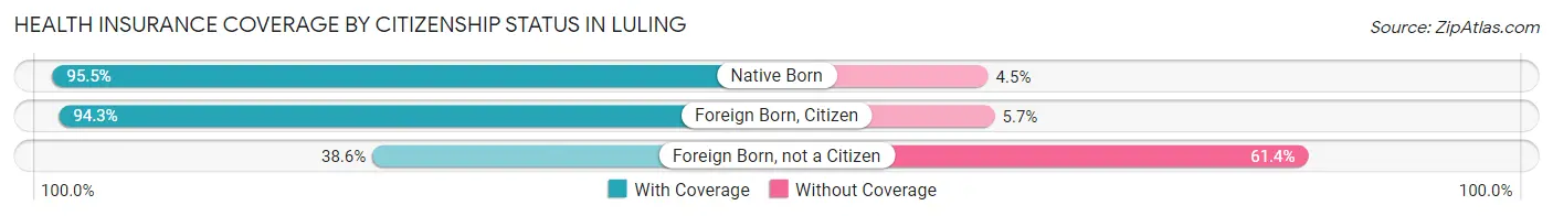 Health Insurance Coverage by Citizenship Status in Luling