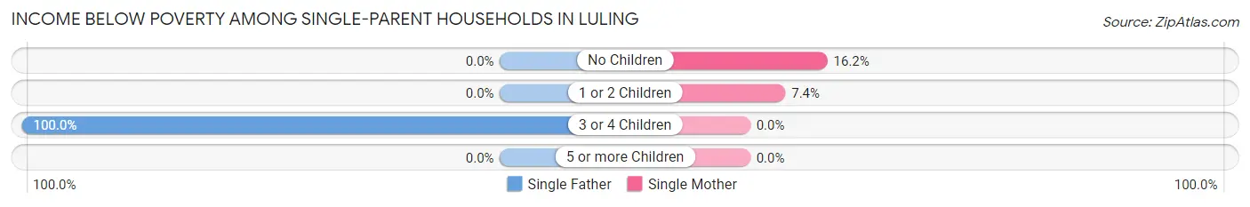 Income Below Poverty Among Single-Parent Households in Luling