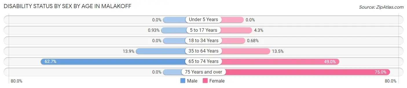 Disability Status by Sex by Age in Malakoff
