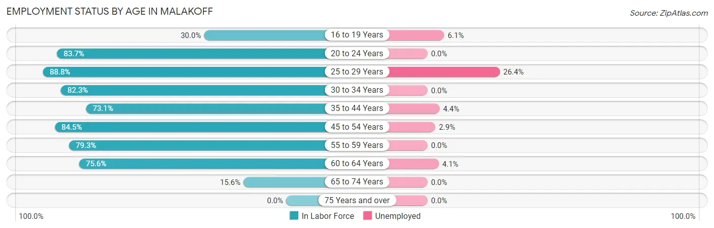 Employment Status by Age in Malakoff
