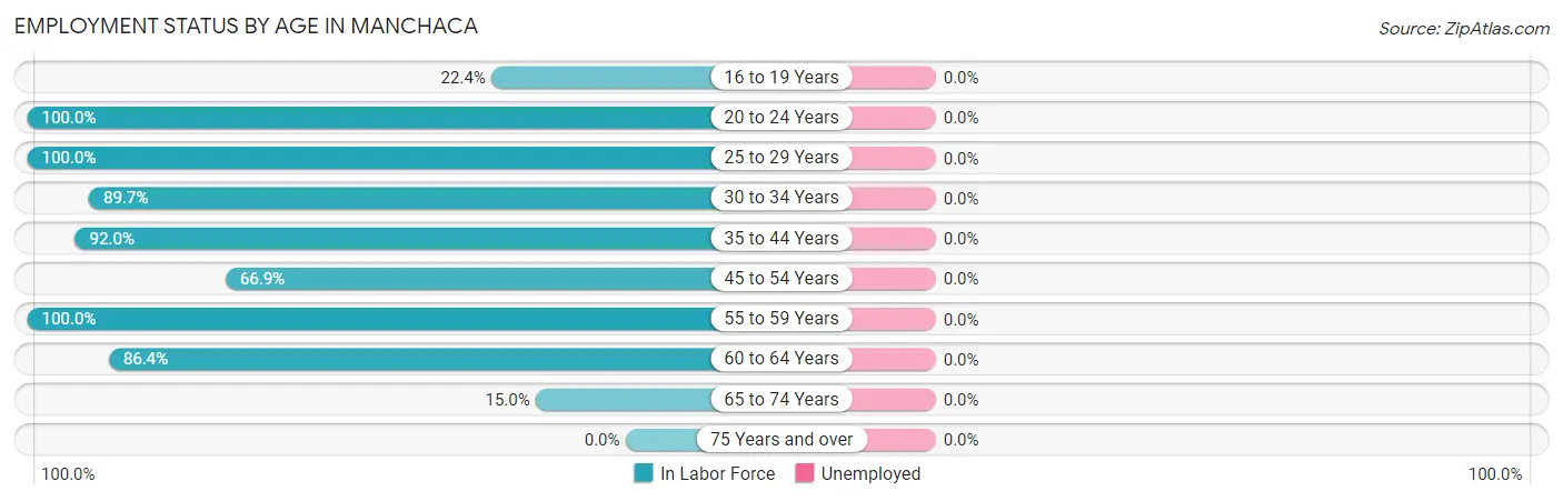 Employment Status by Age in Manchaca